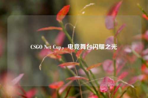 CSGO Net Cup,电竞舞台闪耀之光