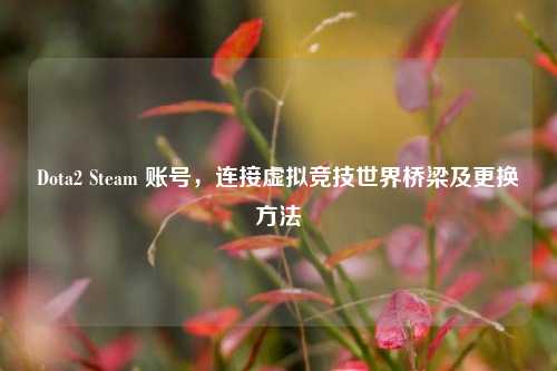Dota2 Steam 账号,连接虚拟竞技世界桥梁及更换方法