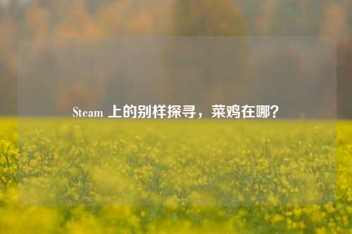 Steam 上的别样探寻,菜鸡在哪?