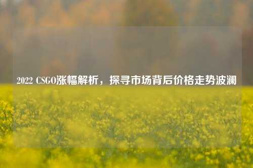 2022 CSGO涨幅解析,探寻市场背后价格走势波澜