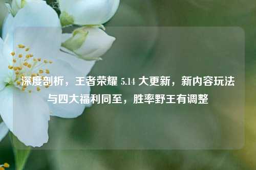 深度剖析,王者荣耀 5.14 大更新,新内容玩法与四大福利同至,胜率野王有调整
