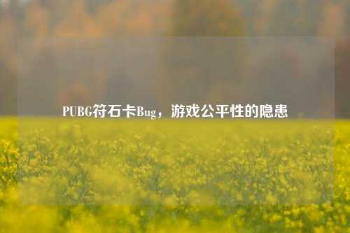 PUBG符石卡Bug,游戏公平性的隐患