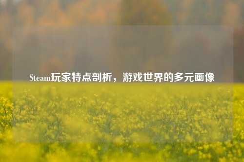 Steam玩家特点剖析,游戏世界的多元画像