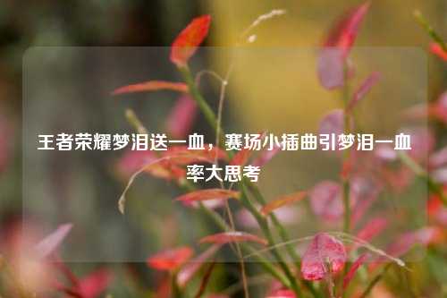王者荣耀梦泪送一血，赛场小插曲引梦泪一血率大思考