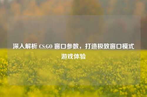深入解析 CS:GO 窗口参数,打造极致窗口模式游戏体验