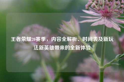 王者荣耀20赛季,内容全解析、时间表及新玩法新英雄带来的全新体验