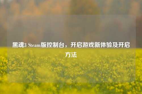 黑魂3 Steam版控制台,开启游戏新体验及开启方法