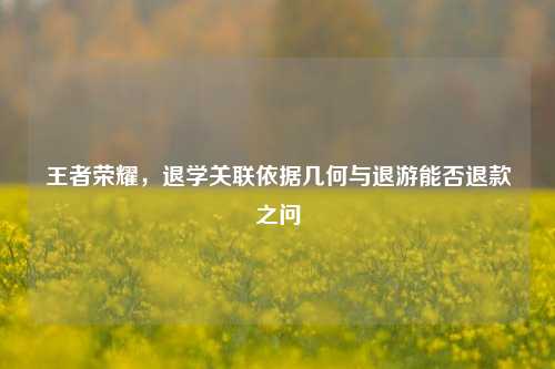 王者荣耀,退学关联依据几何与退游能否退款之问