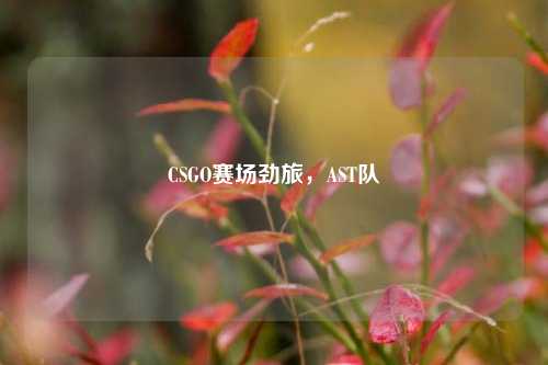 CSGO赛场劲旅,AST队