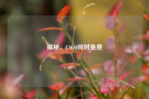 揭秘，CSGO何时免费