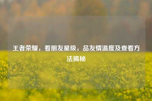 王者荣耀,看朋友星级,品友情温度及查看方法揭秘