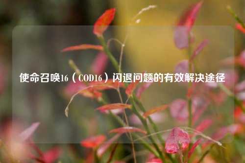 使命召唤16(COD16)闪退问题的有效解决途径