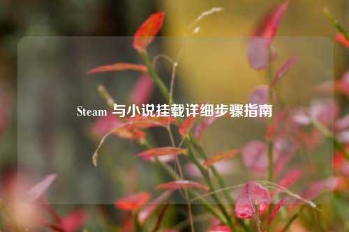 Steam 与小说挂载详细步骤指南