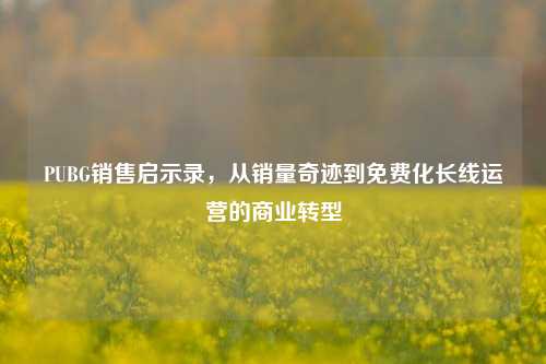 PUBG销售启示录,从销量奇迹到免费化长线运营的商业转型
