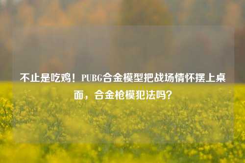 不止是吃鸡!PUBG合金模型把战场情怀摆上桌面,合金枪模犯法吗?