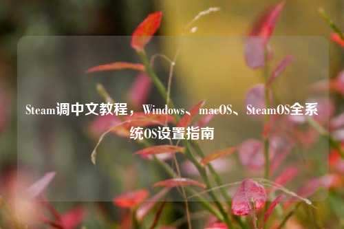 Steam调中文教程,Windows、macOS、SteamOS全系统OS设置指南