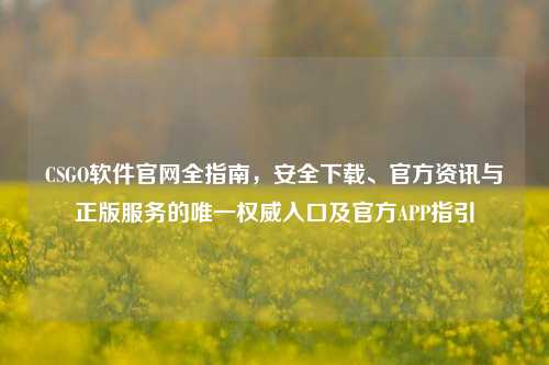CSGO软件官网全指南,安全下载、官方资讯与正版服务的唯一权威入口及官方APP指引