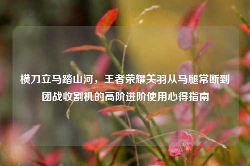 横刀立马踏山河，王者荣耀关羽从马腿常断到团战收割机的高阶进阶使用心得指南