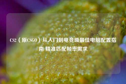 CS2(原CSGO)从入门到电竞级最佳电脑配置指南 精准匹配帧率需求