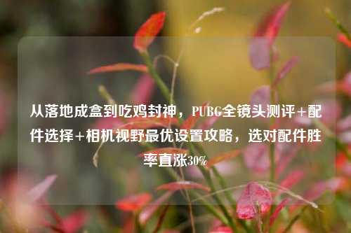 从落地成盒到吃鸡封神,PUBG全镜头测评+配件选择+相机视野最优设置攻略,选对配件胜率直涨30%