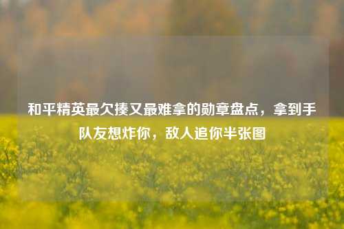 和平精英最欠揍又最难拿的勋章盘点,拿到手队友想炸你,敌人追你半张图