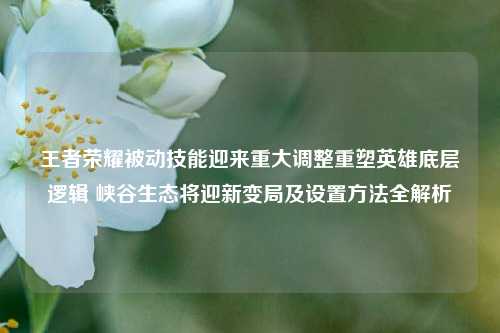 王者荣耀被动技能迎来重大调整重塑英雄底层逻辑 峡谷生态将迎新变局及设置方法全解析