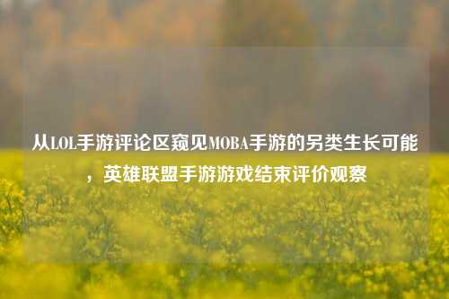 从LOL手游评论区窥见MOBA手游的另类生长可能,英雄联盟手游游戏结束评价观察