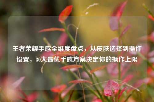 王者荣耀手感全维度盘点，从皮肤选择到操作设置，30大最优手感方案决定你的操作上限