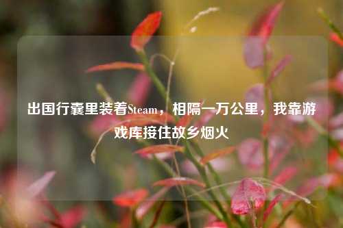 出国行囊里装着Steam，相隔一万公里，我靠游戏库接住故乡烟火