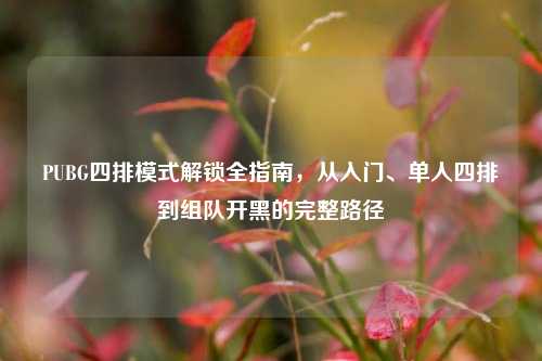 PUBG四排模式解锁全指南，从入门、单人四排到组队开黑的完整路径
