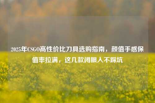 2025年CSGO高性价比刀具选购指南，颜值手感保值率拉满，这几款闭眼入不踩坑