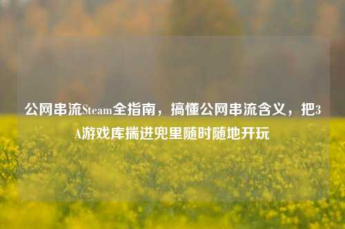 公网串流Steam全指南，搞懂公网串流含义，把3A游戏库揣进兜里随时随地开玩