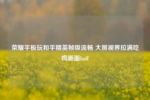 荣耀平板玩和平精英帧级流畅 大屏视界拉满吃鸡画面buff