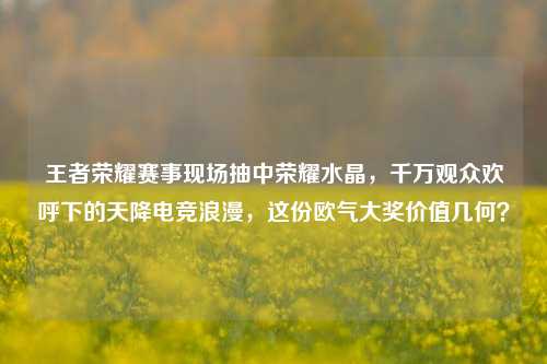 王者荣耀赛事现场抽中荣耀水晶,千万观众欢呼下的天降电竞浪漫,这份欧气大奖价值几何?