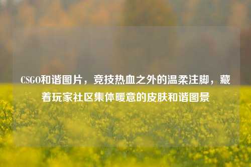 CSGO和谐图片,竞技热血之外的温柔注脚,藏着玩家社区集体暖意的皮肤和谐图景