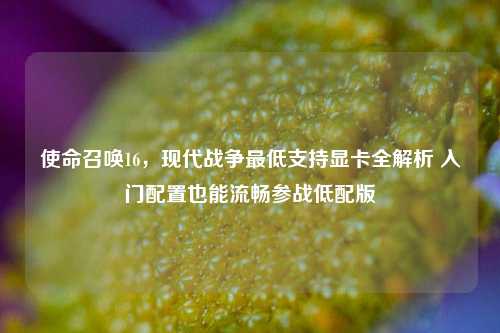 使命召唤16,现代战争最低支持显卡全解析 入门配置也能流畅参战低配版