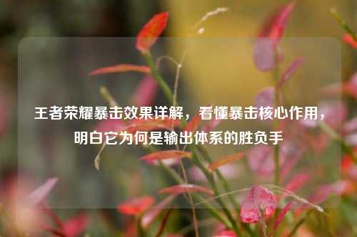 王者荣耀暴击效果详解,看懂暴击核心作用,明白它为何是输出体系的胜负手