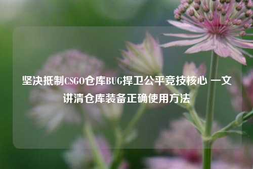 坚决抵制CSGO仓库BUG捍卫公平竞技核心 一文讲清仓库装备正确使用方法
