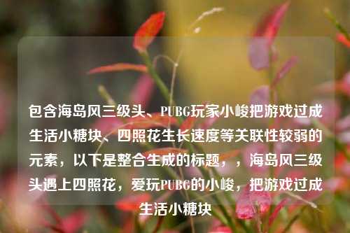 包含海岛风三级头、PUBG玩家小峻把游戏过成生活小糖块、四照花生长速度等关联性较弱的元素,以下是整合生成的标题,,海岛风三级头遇上四照花,爱玩PUBG的小峻,把游戏过成生活小糖块