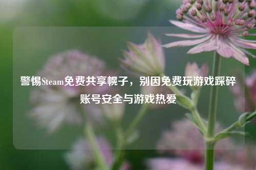 警惕Steam免费共享幌子,别因免费玩游戏踩碎账号安全与游戏热爱