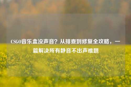 CSGO音乐盒没声音?从排查到修复全攻略,一篇解决所有静音不出声难题