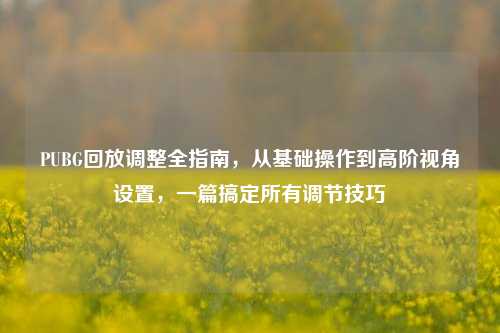 PUBG回放调整全指南，从基础操作到高阶视角设置，一篇搞定所有调节技巧