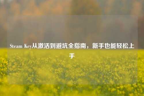 Steam Key从激活到避坑全指南,新手也能轻松上手