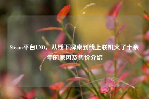Steam平台UNO,从线下牌桌到线上联机火了十余年的原因及售价介绍