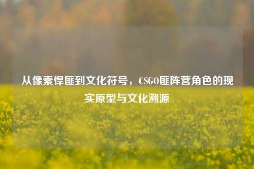 从像素悍匪到文化符号，CSGO匪阵营角色的现实原型与文化溯源