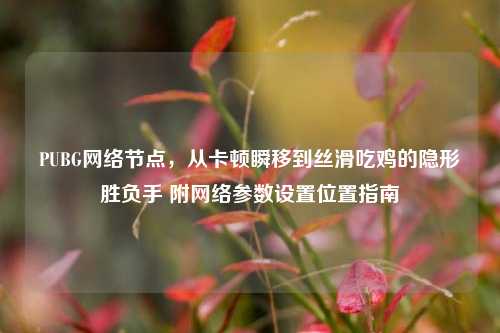 PUBG网络节点,从卡顿瞬移到丝滑吃鸡的隐形胜负手 附网络参数设置位置指南