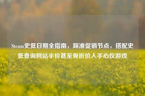 Steam史低日期全指南,踩准促销节点,搭配史低查询网站半价甚至骨折价入手心仪游戏