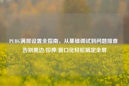 PUBG满屏设置全指南,从基础调试到问题排查 告别黑边/拉伸/窗口化轻松搞定全屏