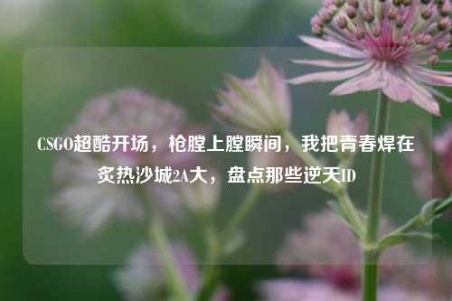 CSGO超酷开场,枪膛上膛瞬间,我把青春焊在炙热沙城2A大,盘点那些逆天ID