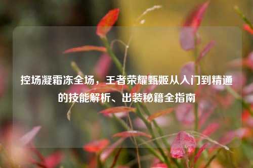 控场凝霜冻全场,王者荣耀甄姬从入门到精通的技能解析、出装秘籍全指南